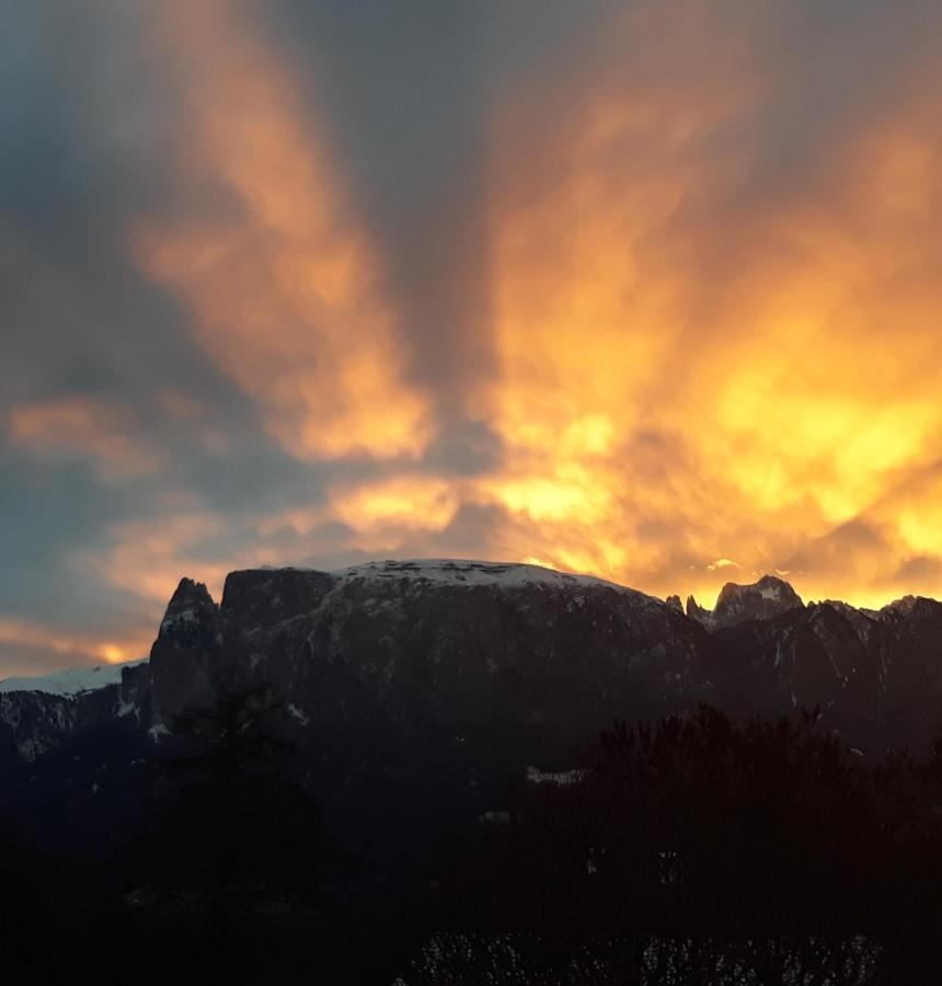 Oberpfaffstallerhof Collalbo Εξωτερικό φωτογραφία