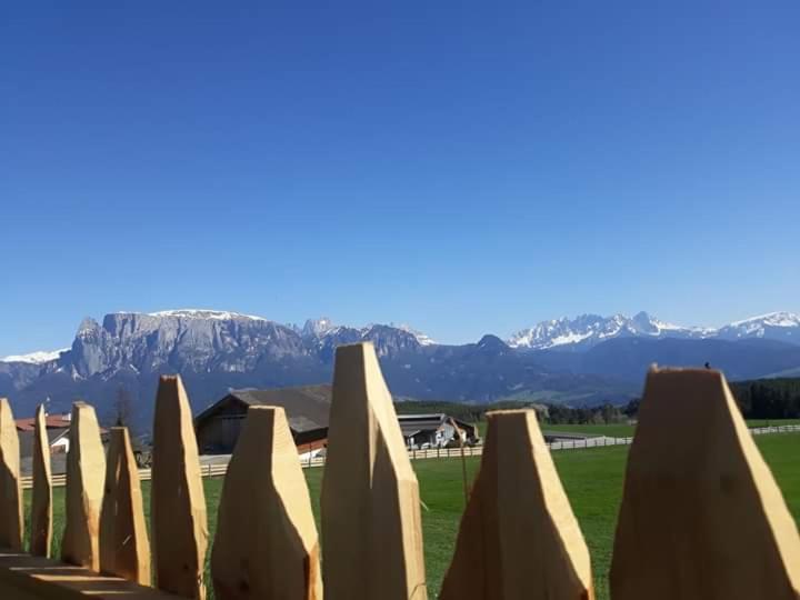 Oberpfaffstallerhof Collalbo Εξωτερικό φωτογραφία