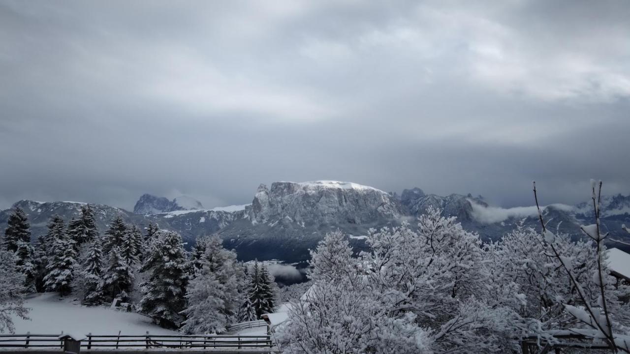 Oberpfaffstallerhof Collalbo Εξωτερικό φωτογραφία