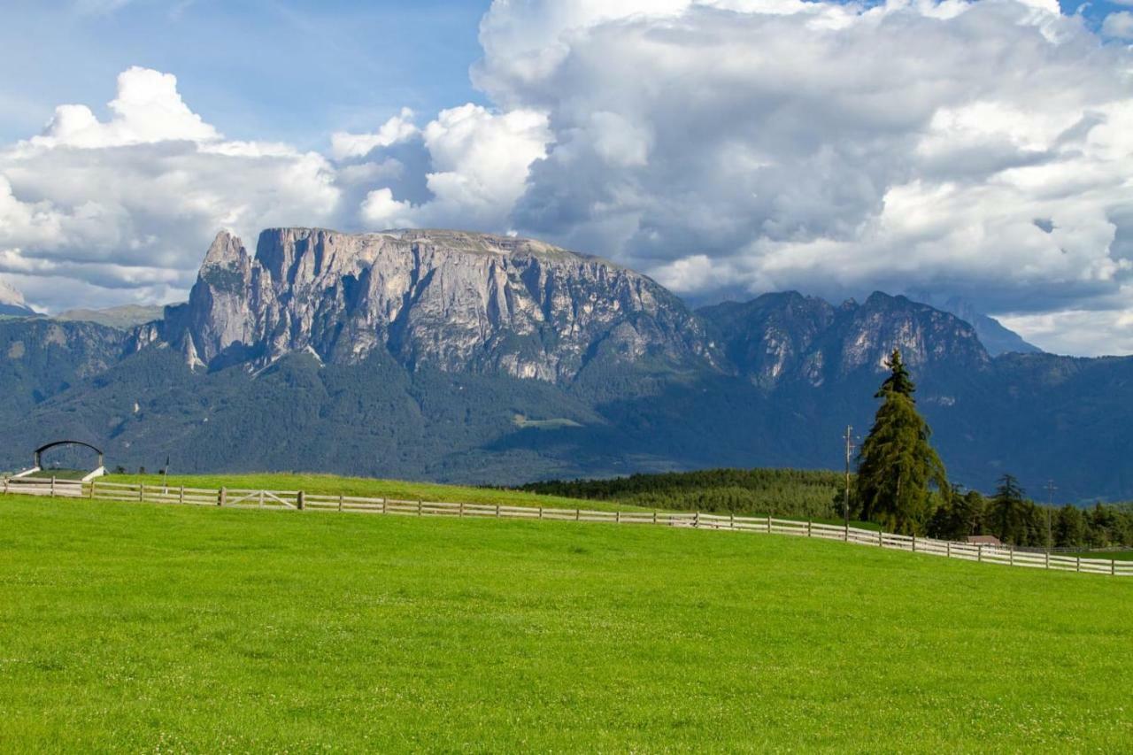 Oberpfaffstallerhof Collalbo Εξωτερικό φωτογραφία